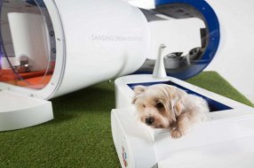 Собачья будка от Samsung: «двушка» с джакузи и беговой дорожкой