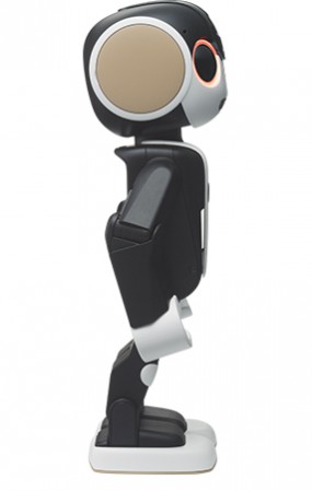 Sharp выпускает ходячий робосмартфон RoboHon